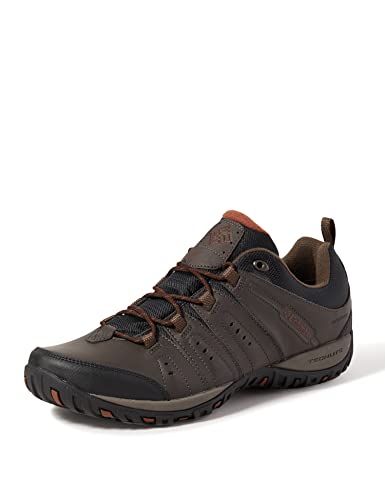 Columbia Woodburn 2 Waterproof (Impermeable) Zapatos de Senderismo Bajos Hombre, Marrón (Cordovan x Cinnamon), 46 EU