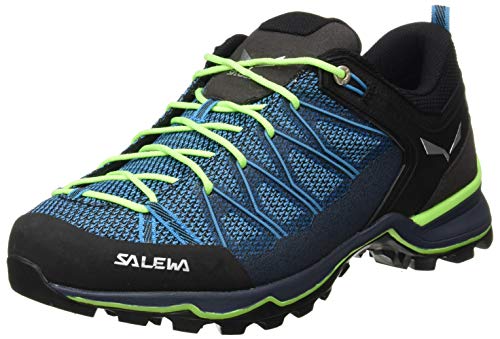 Salewa